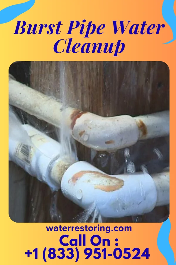 Burst Pipe Water Cleanup in Rock Hill, LA