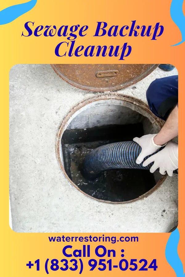 Sewage Backup Cleanup in Rock Hill, LA