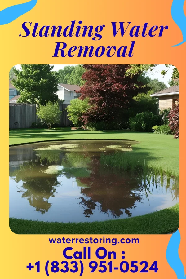 Standing Water Removal in Rock Hill, LA